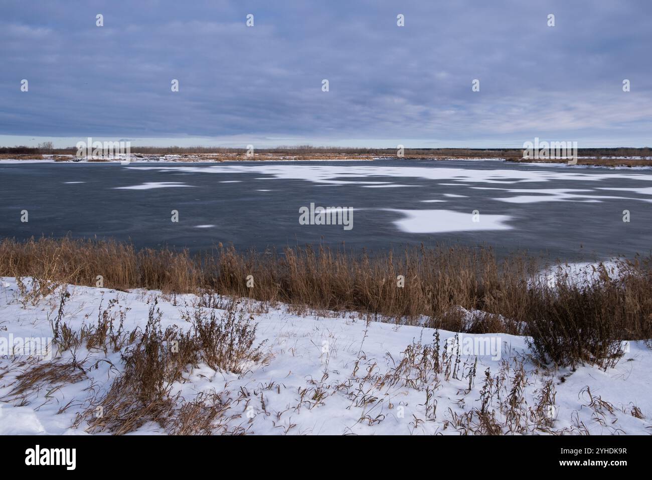 Paysage d'hiver avec lac gelé et herbe sèche sur le rivage Banque D'Images