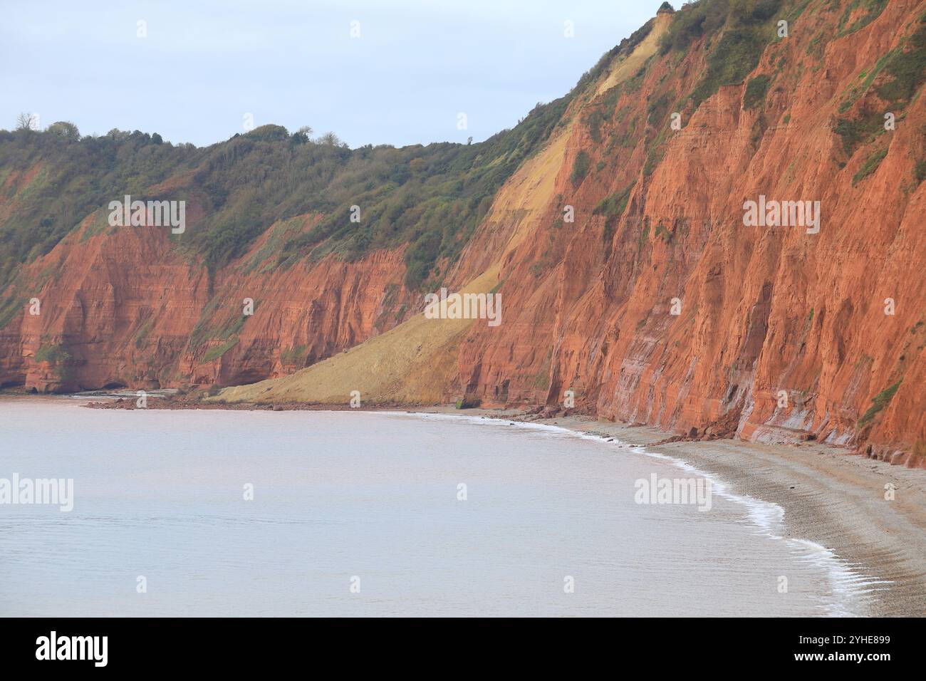 Énorme falaise de grès chute à Jacob's Ladder Beach octobre 2024, Sidmouth, East Devon, Angleterre, Royaume-Uni Banque D'Images