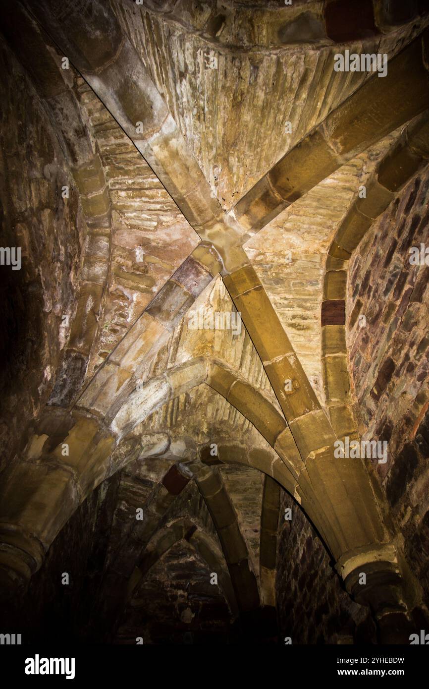Détail architectural dans le toit en pierre de l'un des couloirs restants de vue de l'abbaye de Tintern au pays de Galles Banque D'Images