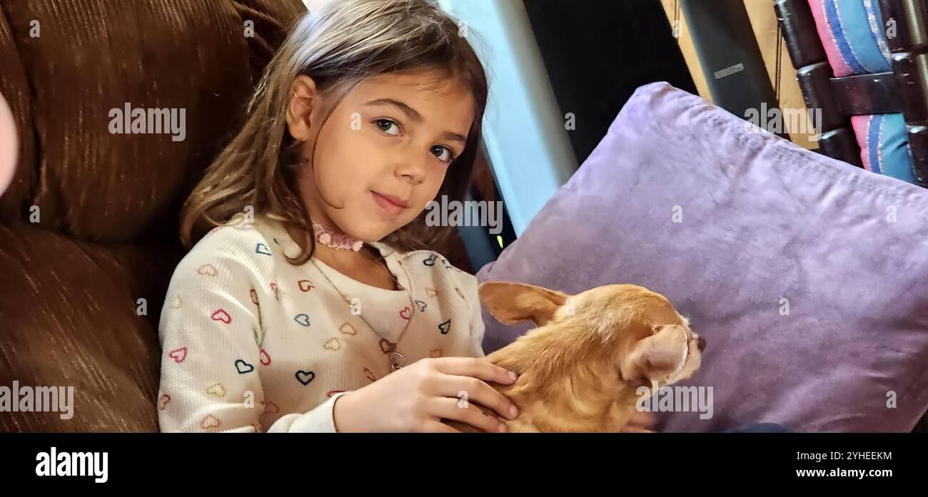 Jeune fille tenant un chihuahua tout en étant assise sur une chaise Banque D'Images