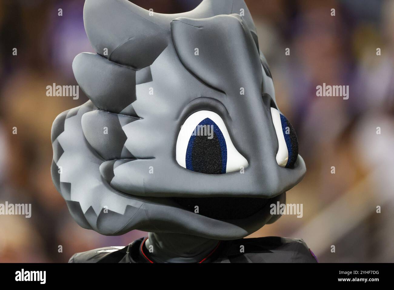 9 novembre 2024 : la mascotte de la TCU lors d'un match entre les Oklahoma State Cowboys et les Horned Frogs de l'Université chrétienne du Texas au stade Amon G. carter à Fort Worth, Texas. Freddie Beckwith/CSM Banque D'Images