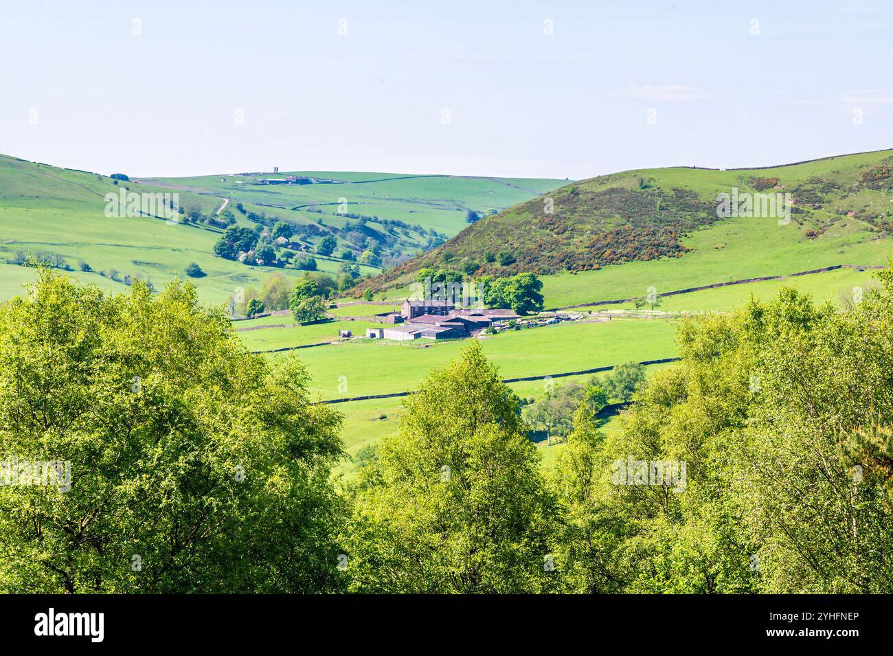 Une vue vers Allgreave depuis le chemin menant à l'église Luds dans le Staffordshire en été Banque D'Images