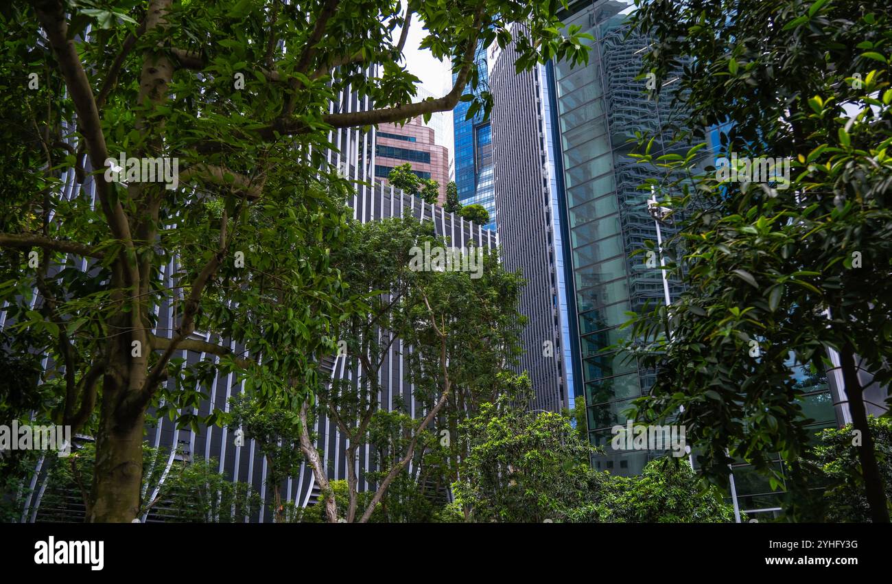 Au cœur du quartier financier de Singapour, au milieu des gratte-ciel, les gratte-ciel contrastent avec les bâtiments. Ville verte de Singapour Banque D'Images
