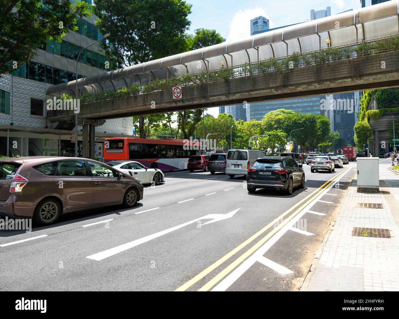 Le pont piétonnier traversant Havelock Road Singapore regardant vers pickering Street montrant la verdure et la nature urbaine de l'Ar. Banque D'Images