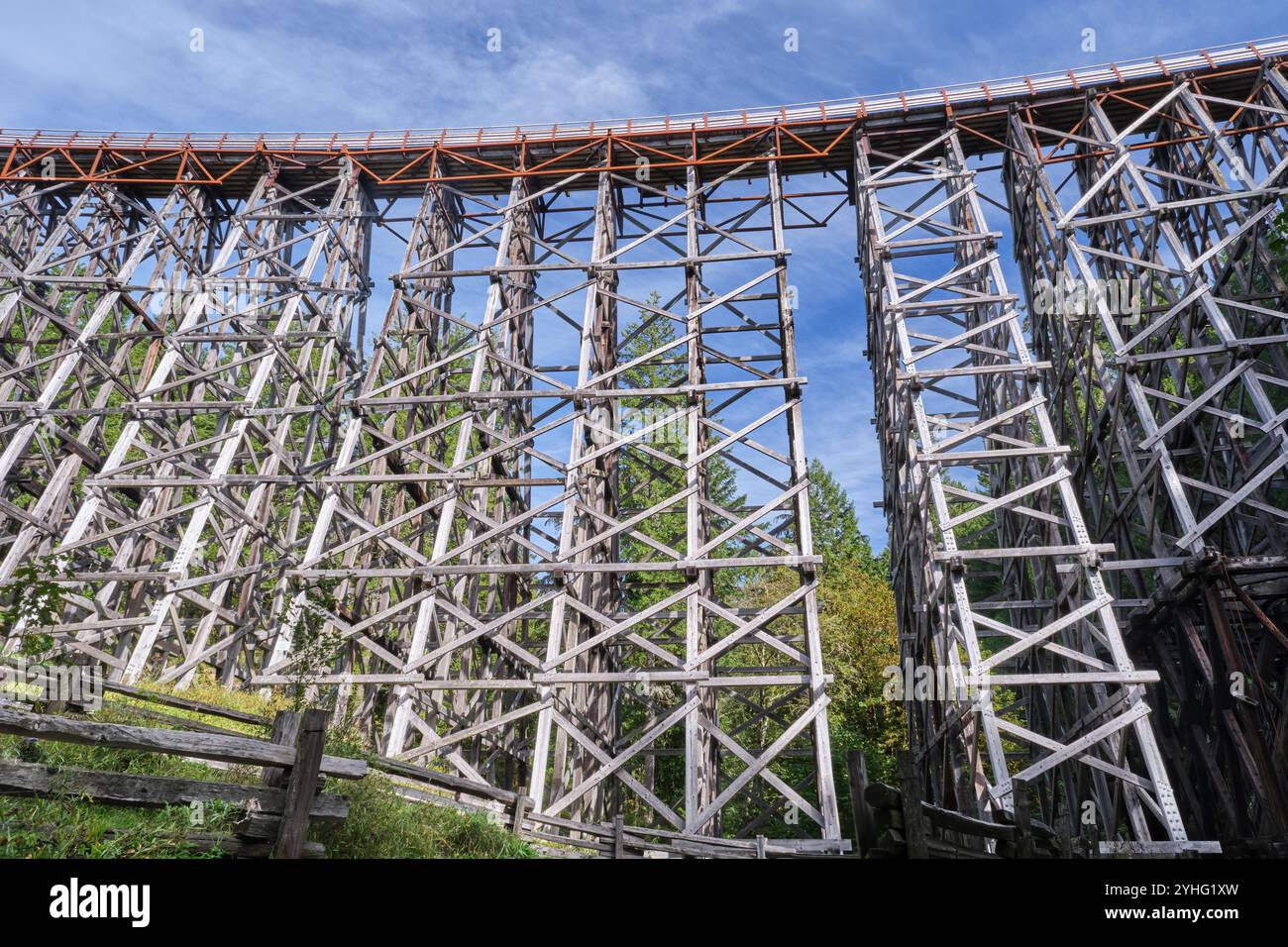Le très haut pont Kinsol Trestle vu d'en bas montrant la structure massive en bois de la construction au-dessus de la rivière Koksilah en contrebas. Banque D'Images