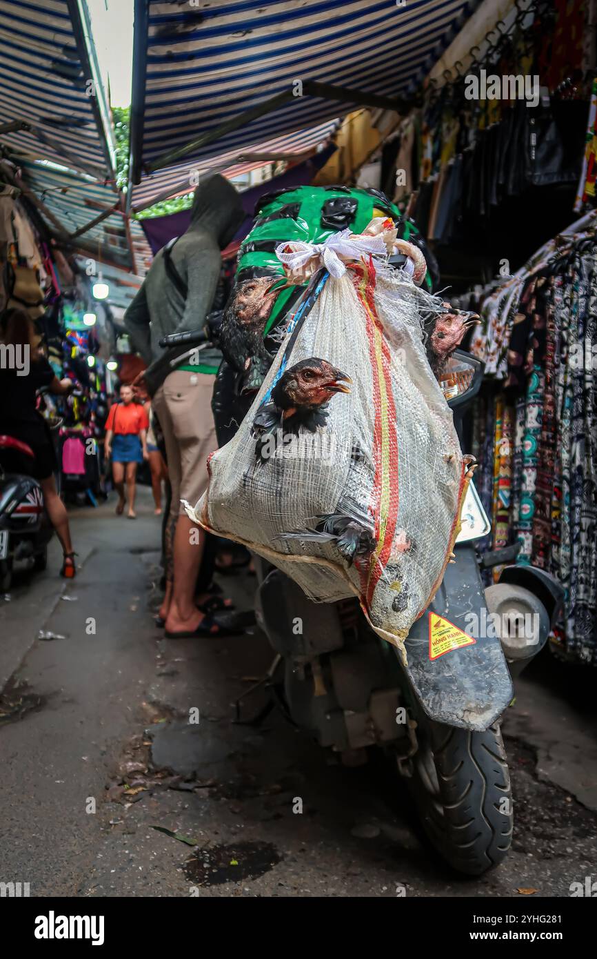 Un homme transporte un sac d'oiseaux sur sa moto à travers un marché de rue animé à Hanoi, capturant le contraste de la vie urbaine et du commerce des animaux. Banque D'Images