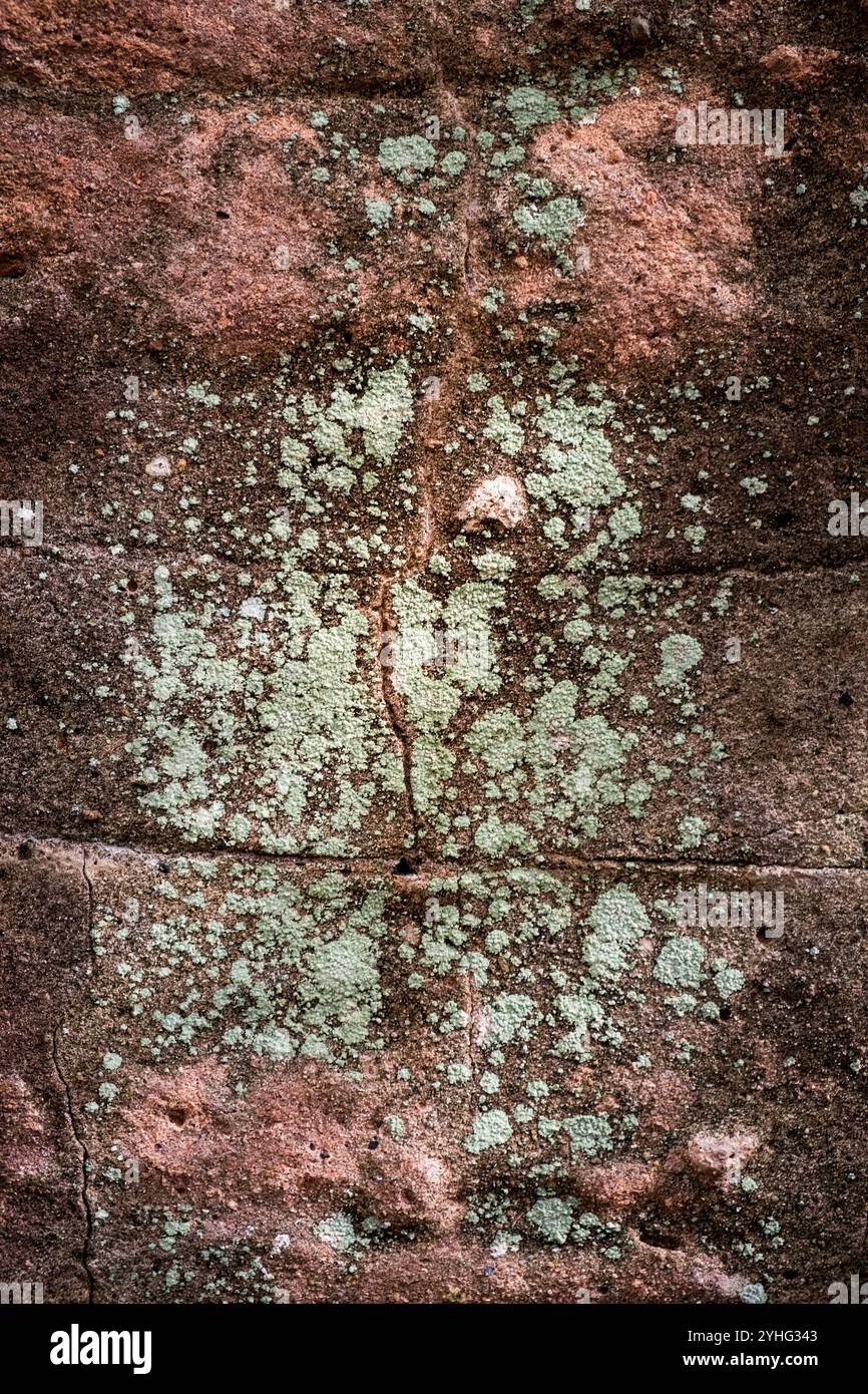 La pierre altérée accueille le lichen Banque D'Images