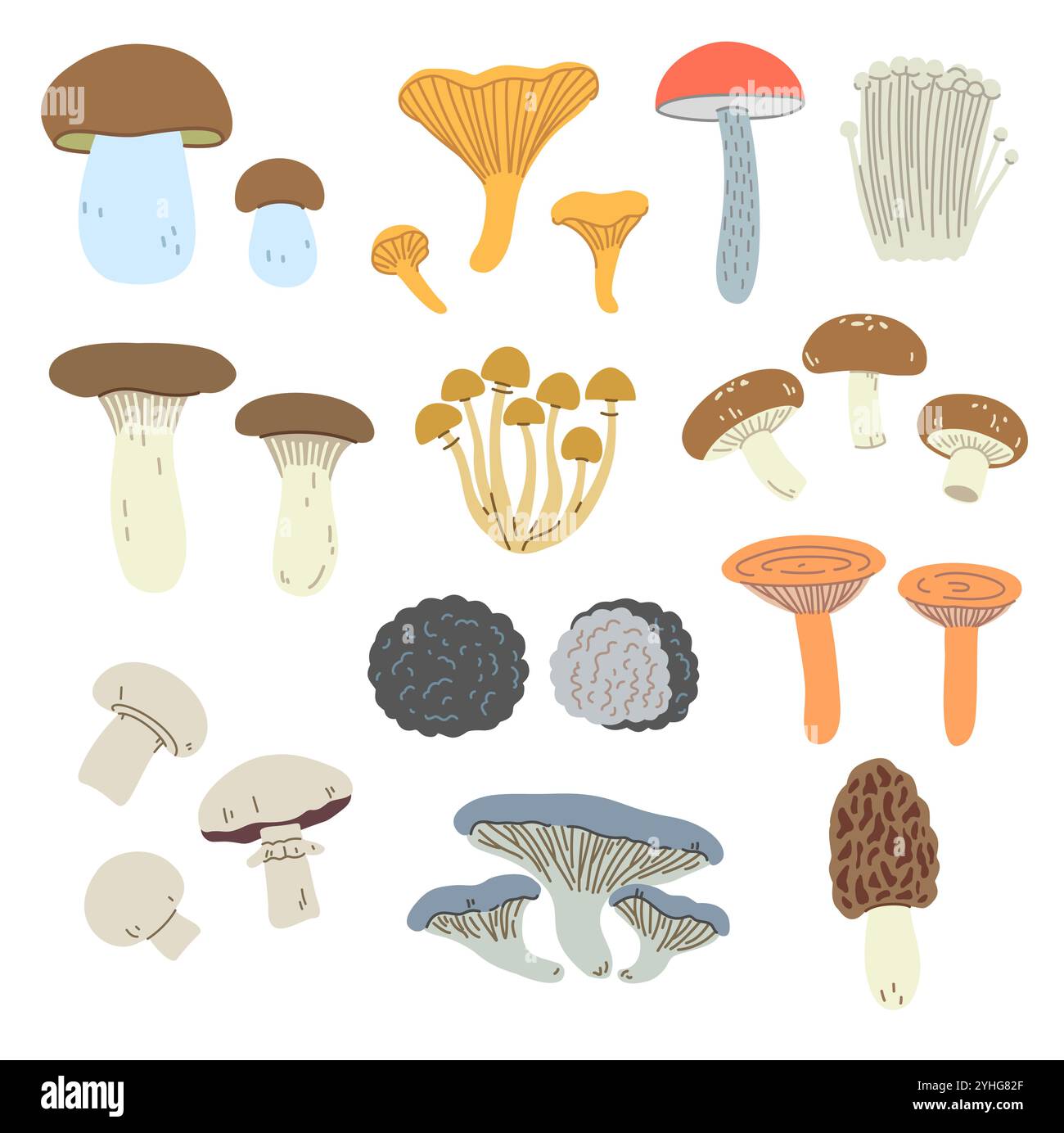 Ensemble de champignons comestibles dans un style tendance simple. Illustrations vectorielles dessinées à la main pour la conception. Illustration de Vecteur