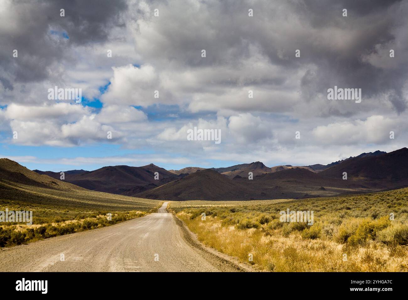 Une route de gravier traversant une vallée vers les montagnes Owyhee. Owyhee Uplands Back Country Byway, Idaho Banque D'Images