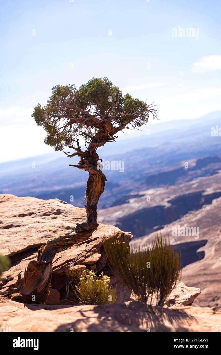 Le parc national de Canyonlands est un vaste paysage désertique creusé par le fleuve Colorado dans le sud-est de l'Utah Banque D'Images