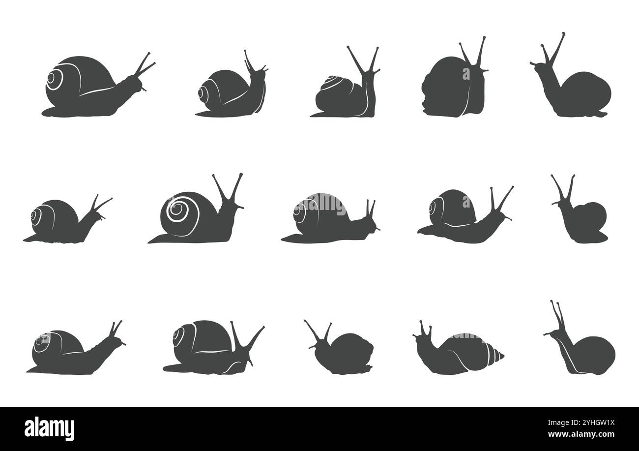 Silhouette d'escargots, svg d'escargots, svg d'escargot de mer, clipart d'escargots, paquet d'escargots Illustration de Vecteur