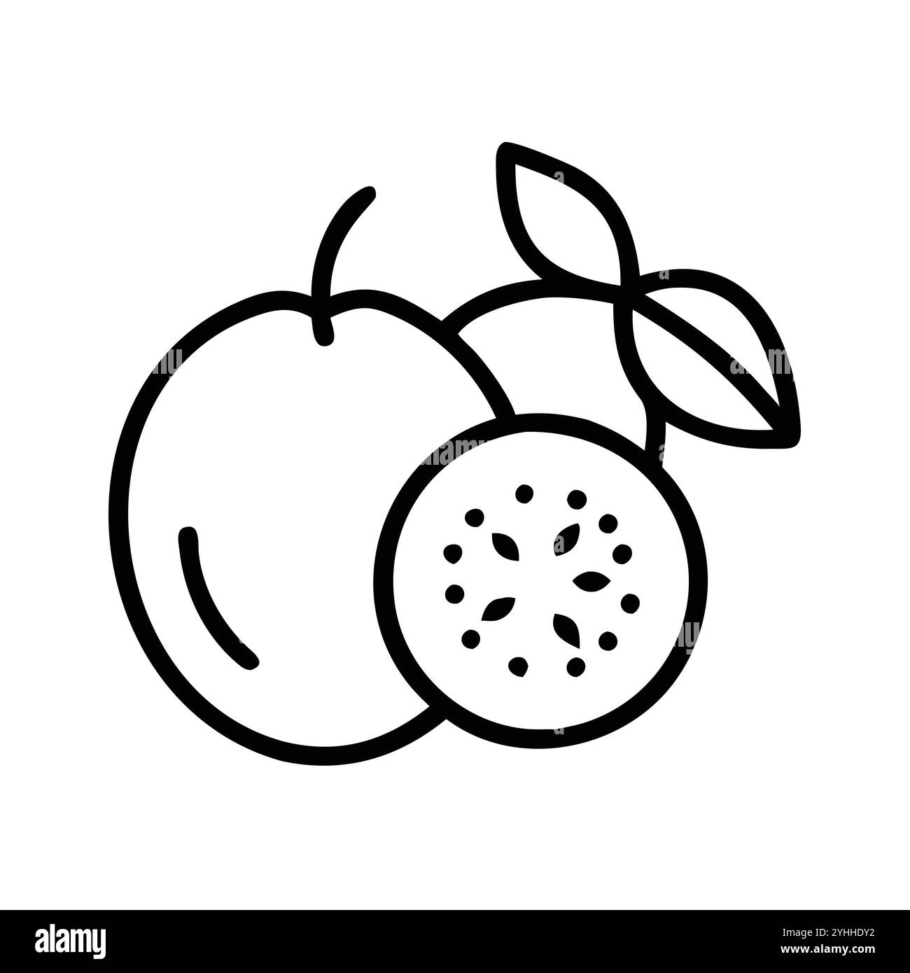 illustration vectorielle simple d'une groseille indienne, dans un style simple et propre, adapté aux thèmes de la nourriture et de la santé. illustration plate de fruits. Illustration de Vecteur