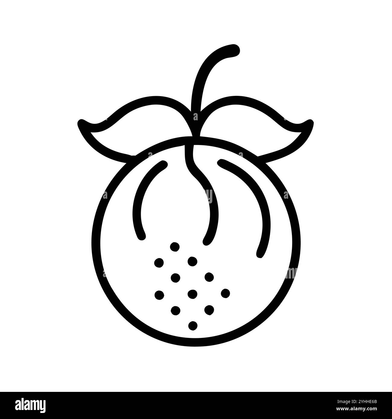 illustration vectorielle simple d'une groseille indienne, dans un style simple et propre, adapté aux thèmes de la nourriture et de la santé. illustration plate de fruits. Illustration de Vecteur