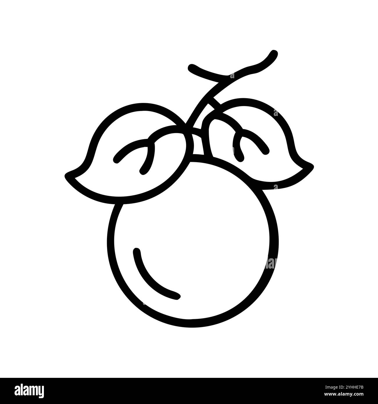 illustration vectorielle simple d'une groseille indienne, dans un style simple et propre, adapté aux thèmes de la nourriture et de la santé. illustration plate de fruits. Illustration de Vecteur