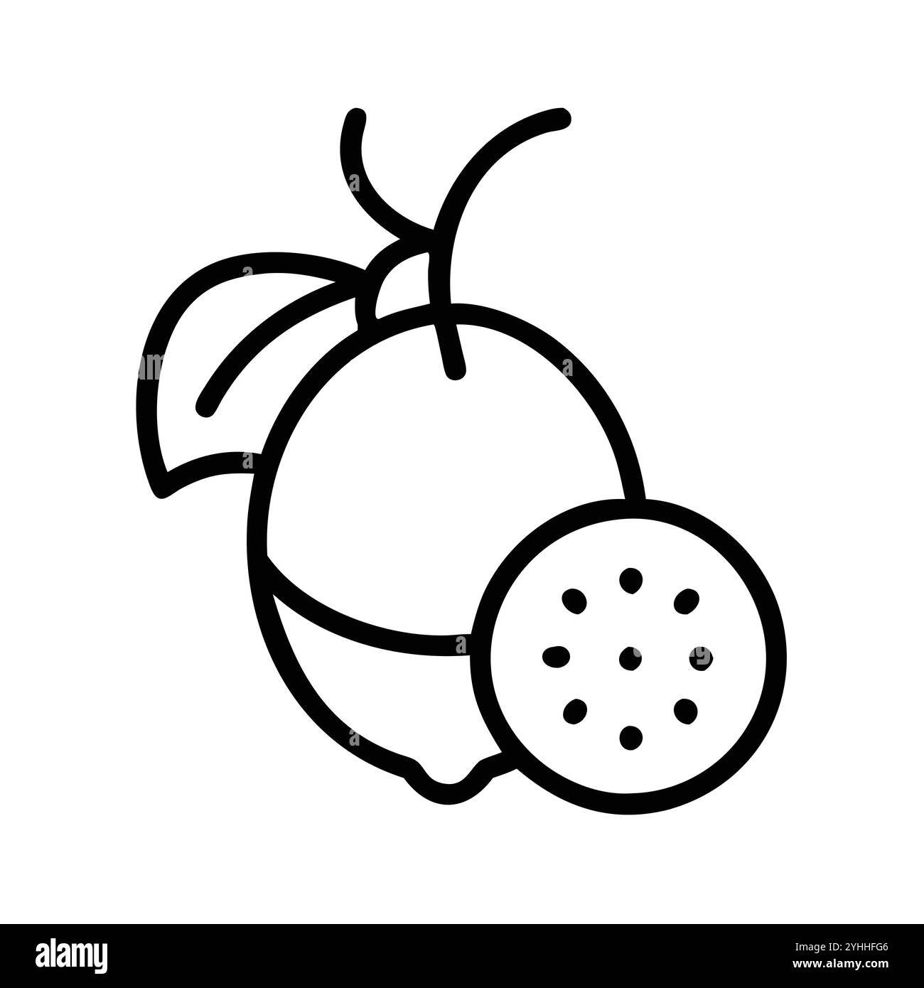 illustration vectorielle simple d'une groseille indienne, dans un style simple et propre, adapté aux thèmes de la nourriture et de la santé. illustration plate de fruits. Illustration de Vecteur