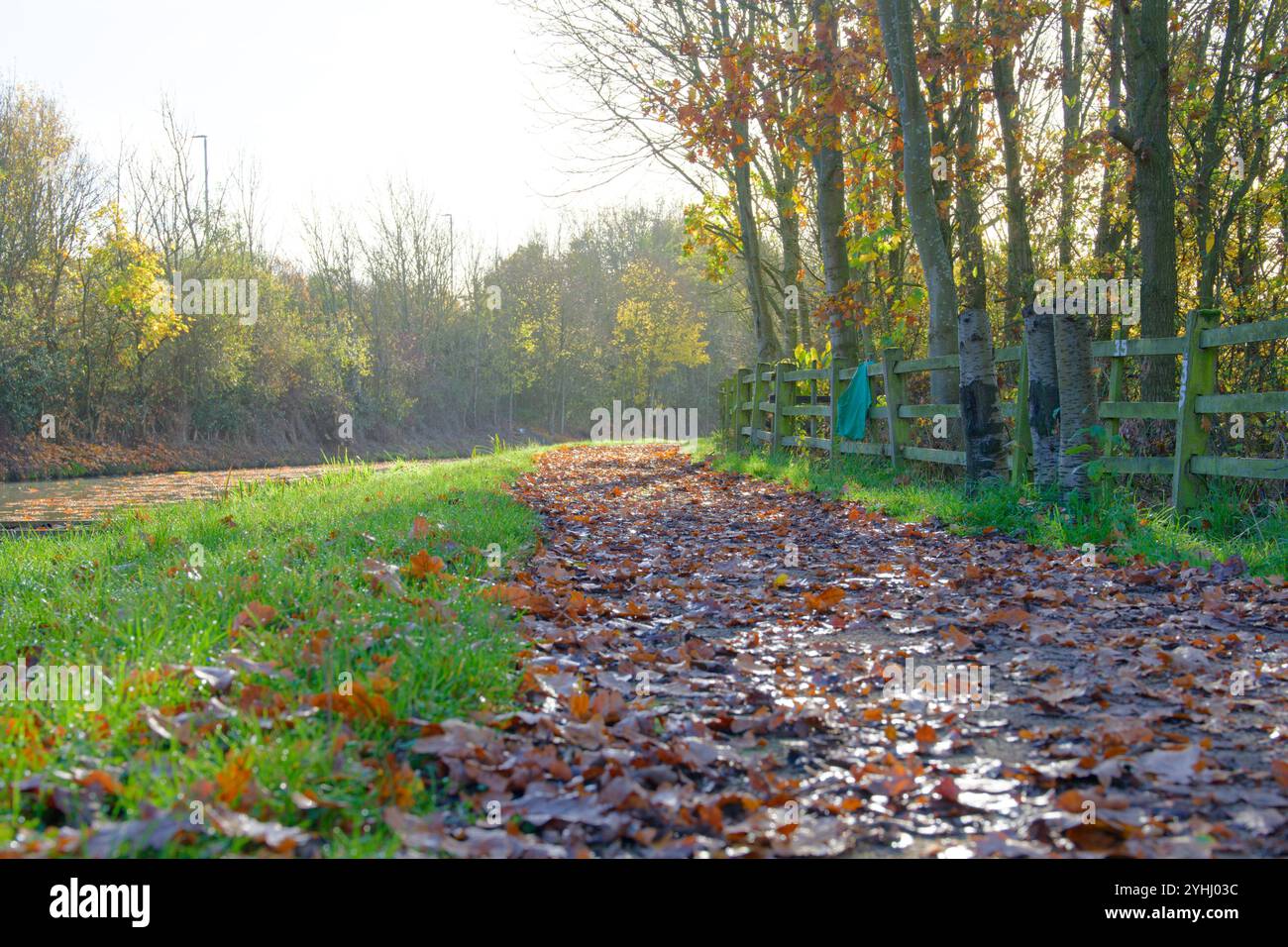 Feuilles d'automne mouillées sur un chemin de halage de canal Banque D'Images