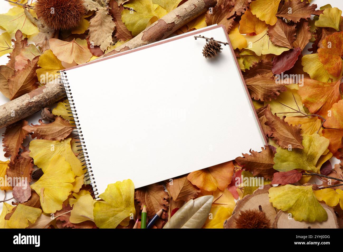 Carnet de croquis et crayons de couleur placés sur un lit de feuilles mortes Banque D'Images