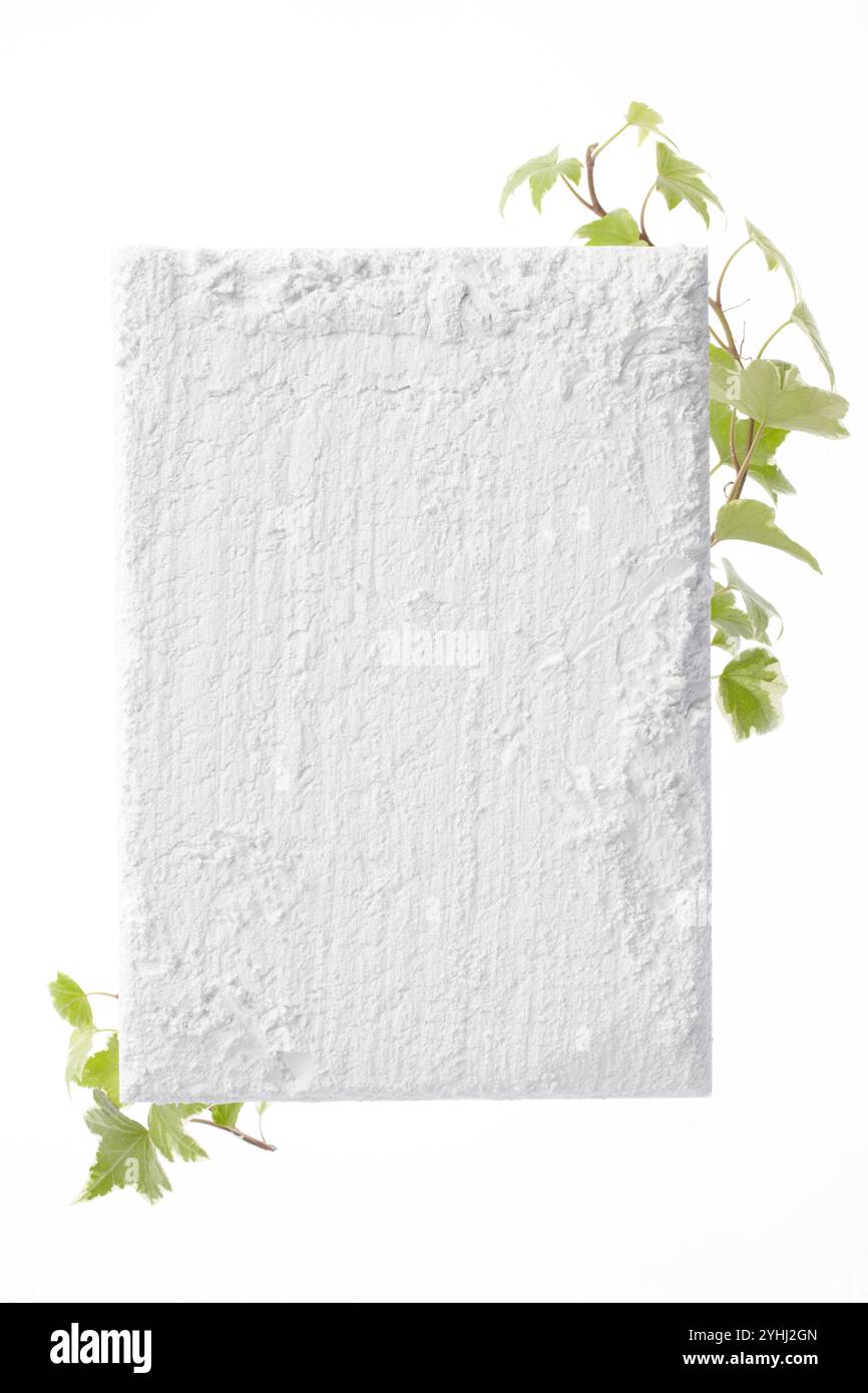 Tableau blanc rugueux et Ivy en position horizontale Banque D'Images