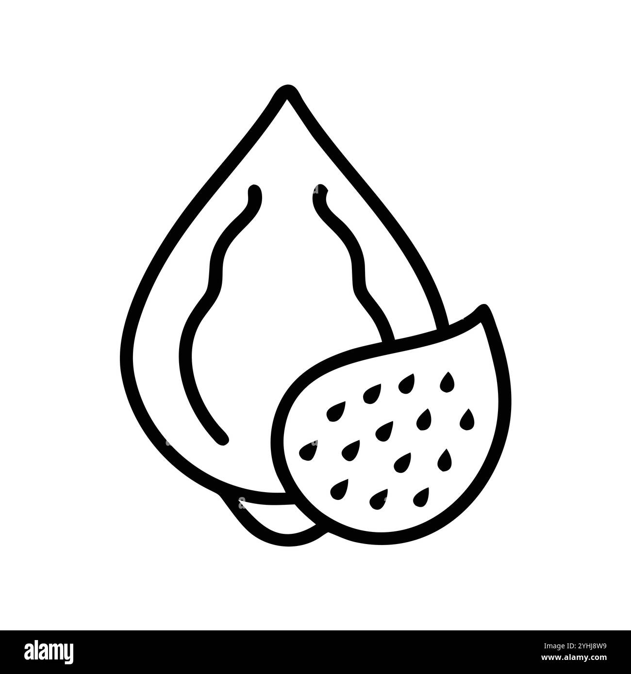 illustration vectorielle simple d'un fruit de serpent salak , dans un style simple et propre, adapté aux thèmes de la nourriture et de la santé. illustration plate de fruits. Illustration de Vecteur