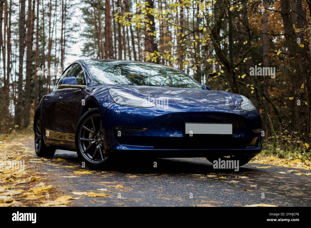 Minsk, Biélorussie, 12 novembre 2024 - vue générale bleu Tesla Model 3 voiture électrique à double moteur garée dans la forêt d'automne après la pluie Banque D'Images