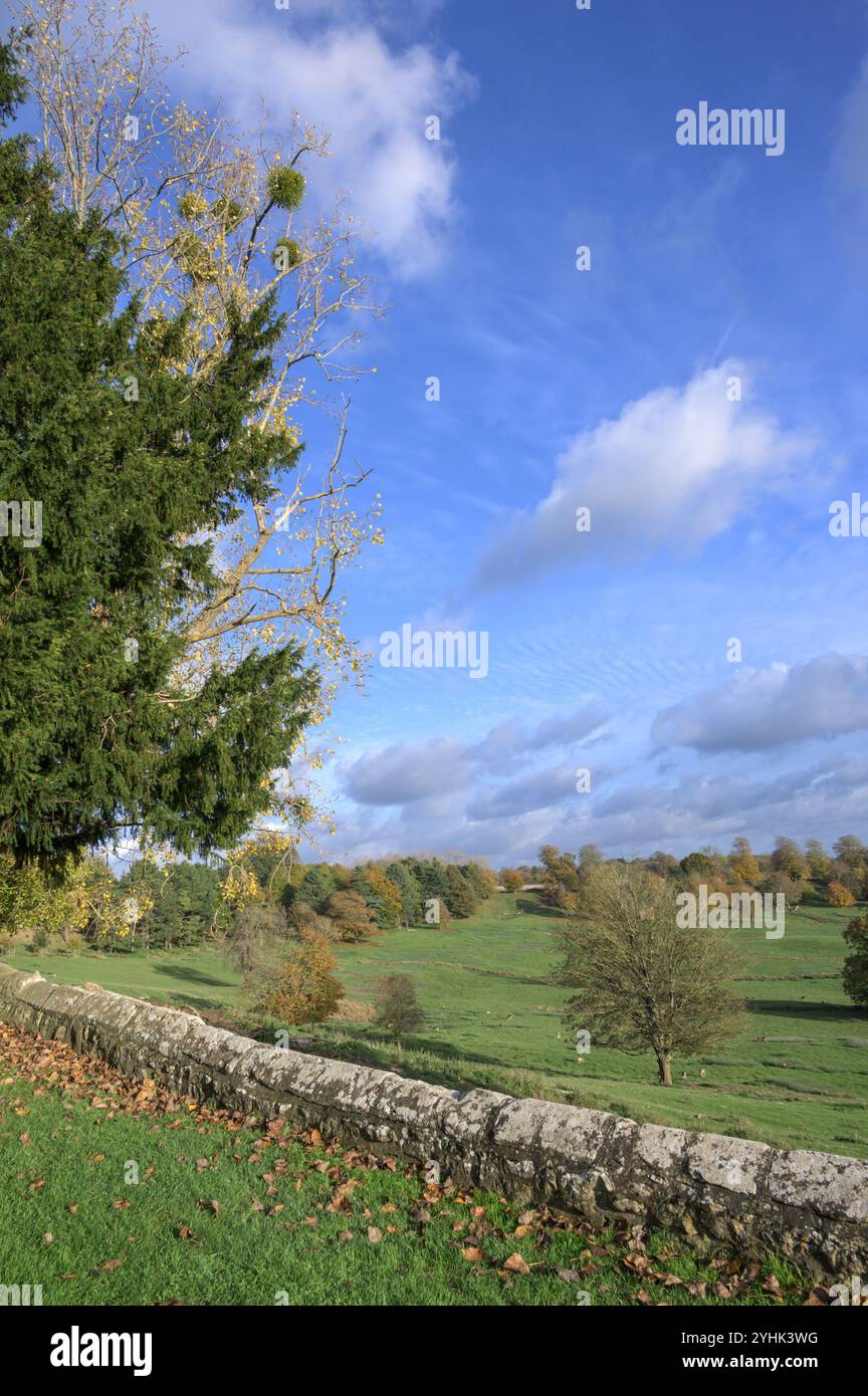 Village de Boughton Monchelsea, Kent, Royaume-Uni. Vue depuis le cimetière de l'église St Peter, surplombant le parc de cerfs et le Weald of Kent. Novembre Banque D'Images