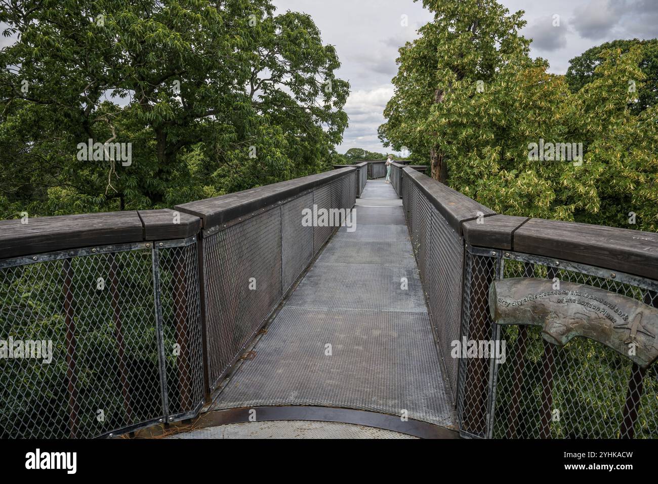 Treetop Walkway, structure en acier, jardins botaniques royaux (jardins de Kew), site du patrimoine mondial de l'UNESCO, Kew, Grand Londres, Angleterre, Royaume-Uni, Europ Banque D'Images