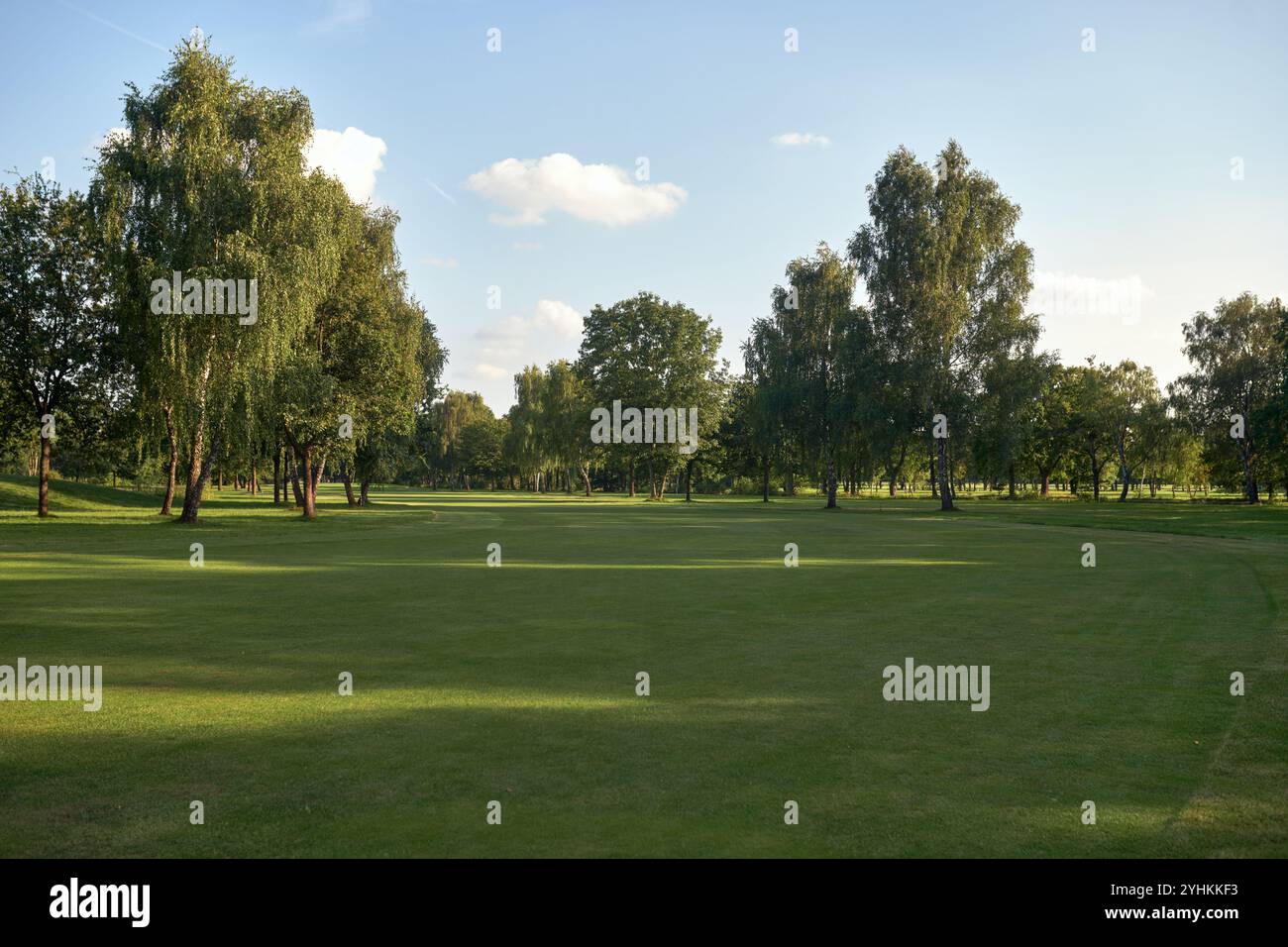 Paysage paisible du parcours de golf un jour ensoleillé avec des fairways verdoyants et de grands arbres sous un ciel ensoleillé. Parfait pour mettre en valeur la tranquillité de nat Banque D'Images