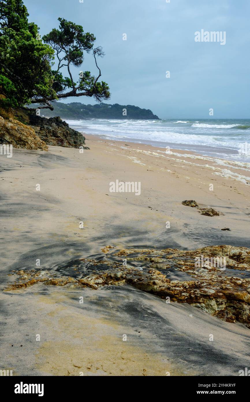 Langs Beach, Bream Bay, Northland, Île du Nord, Nouvelle-Zélande Banque D'Images