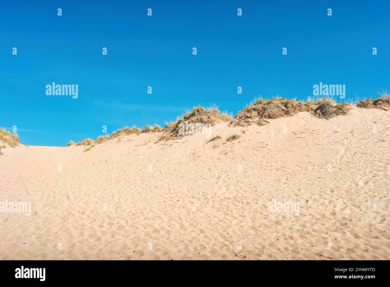 Dune de sable dans Sleeping Bear Dunes National Lakeshore, Michigan, États-Unis. Banque D'Images