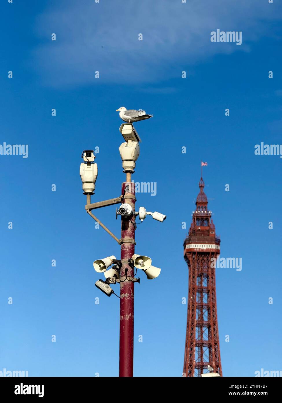 Caméras de sécurité CCTV et mouette sur le poteau avec la tour Blackpool en arrière-plan contre un ciel bleu vif sur la promenade de Blackpool - Image de stock capturée avec un smartphone