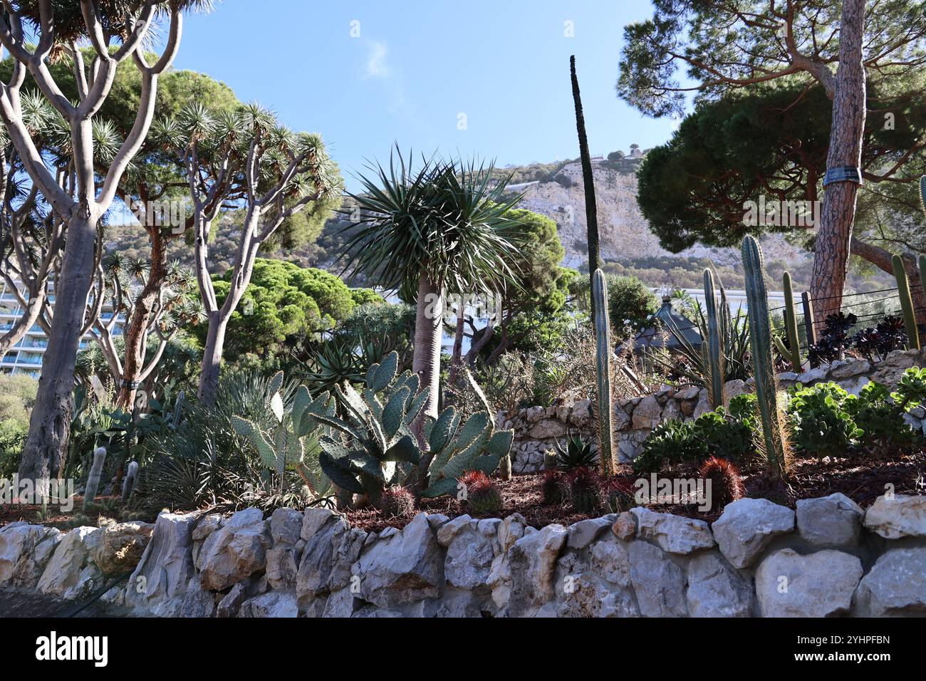 Jardin botanique de Gibraltar, Grande-Bretagne Banque D'Images