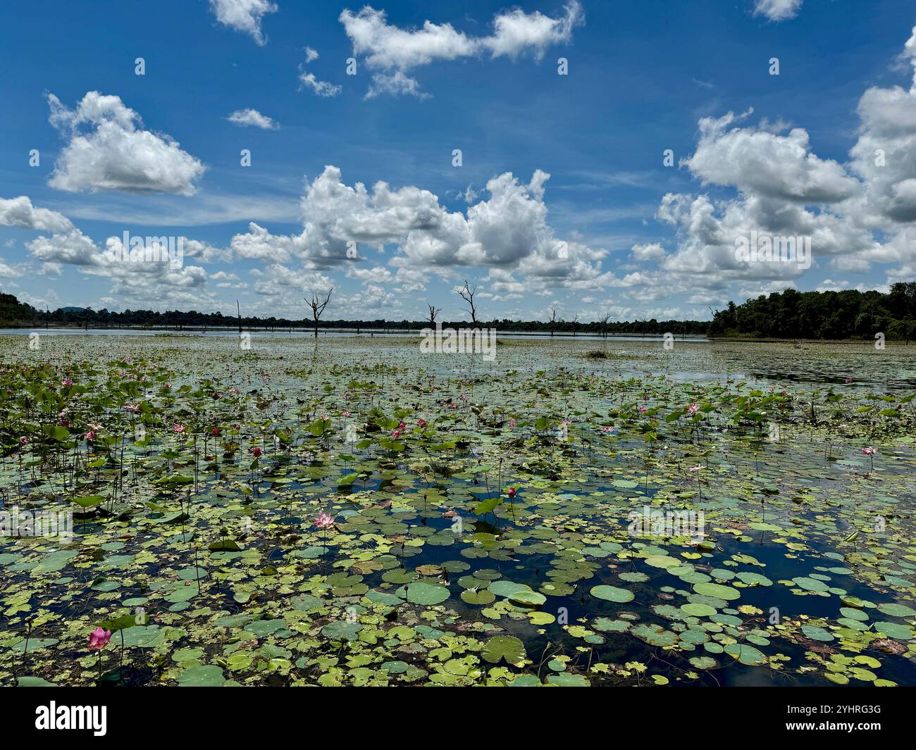 Temple Neak Pean , dédié à Shiva , Angkor , Siem Reap , Cambodge - Image de stock capturée avec un smartphone