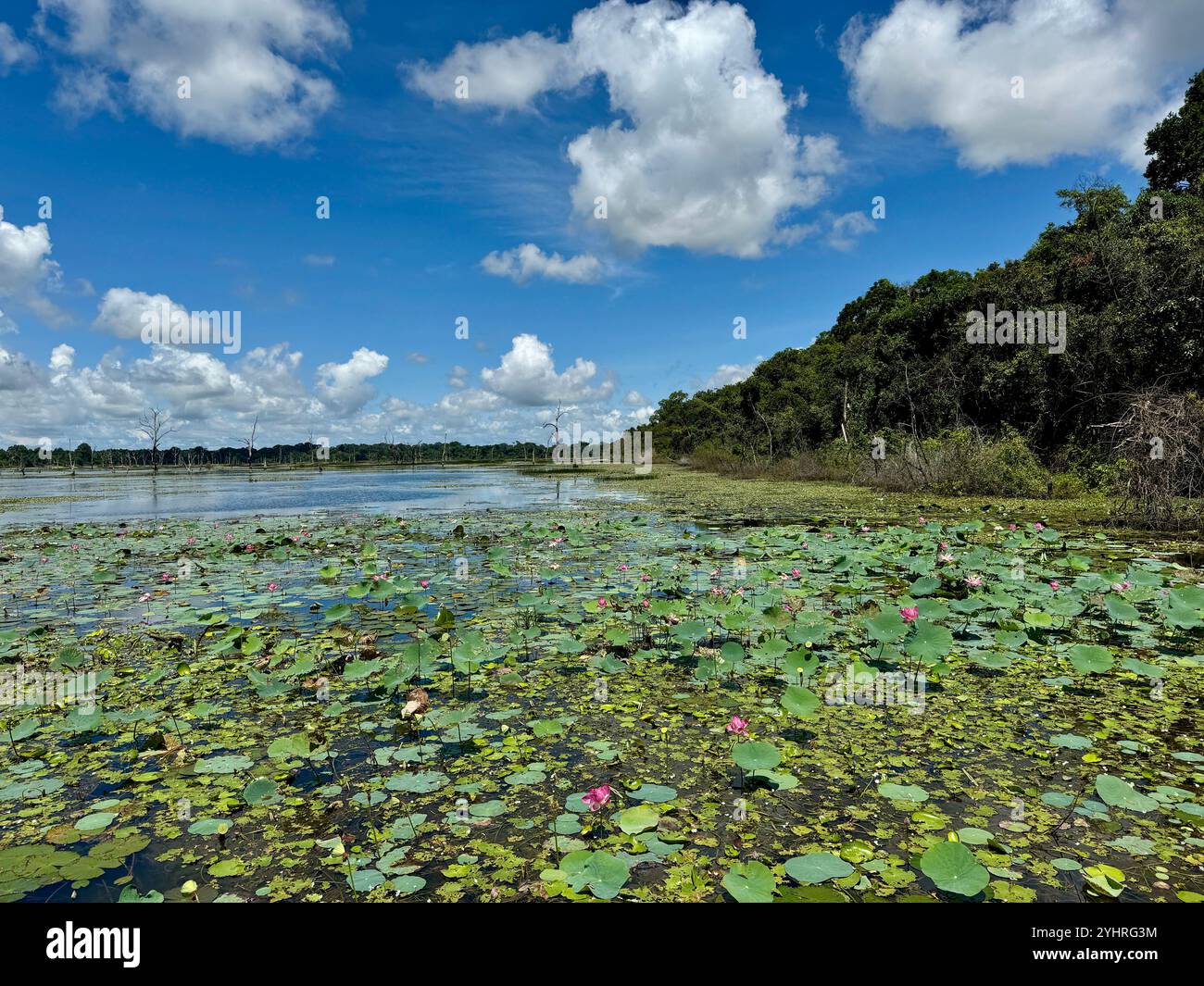 Temple Neak Pean , dédié à Shiva , Angkor , Siem Reap , Cambodge - Image de stock capturée avec un smartphone