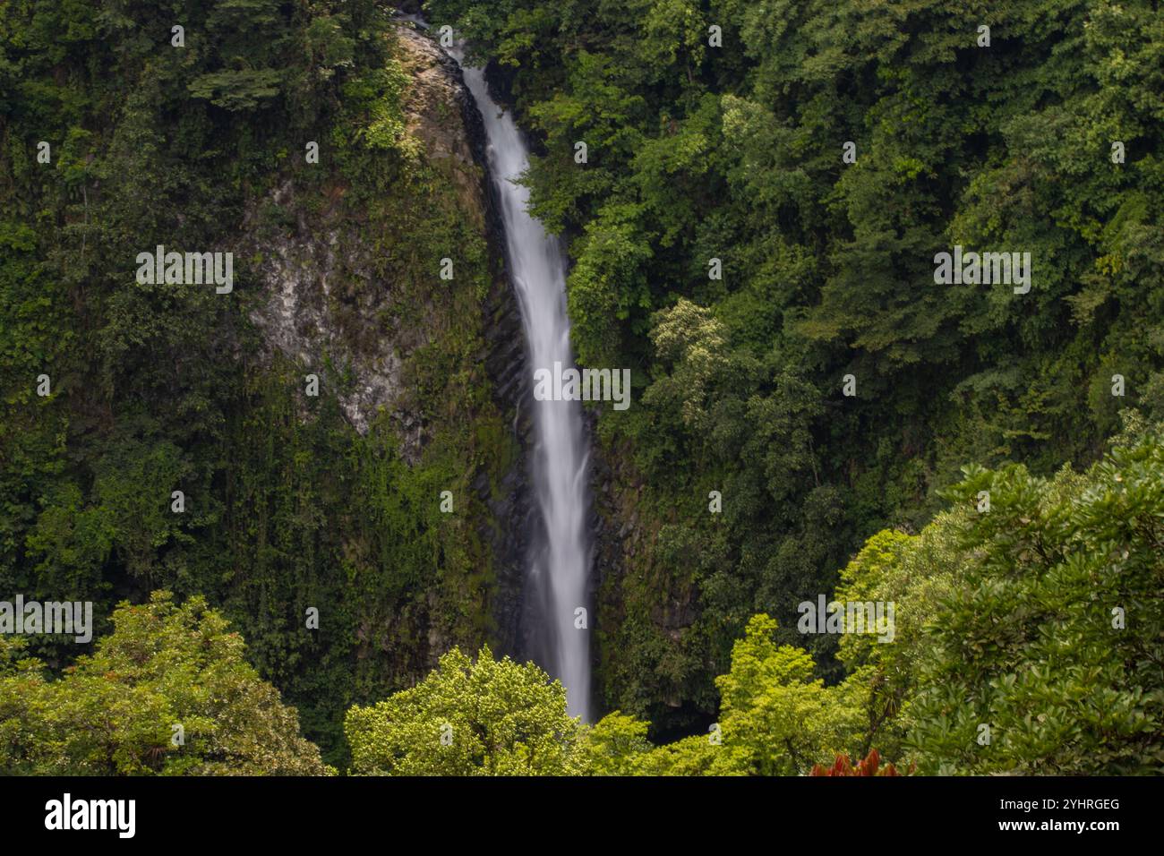 Cascade à la Fortuna, Costa Rica Banque D'Images