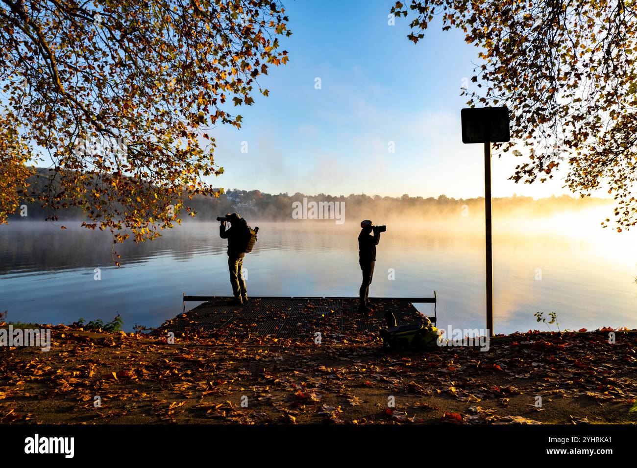 Couleurs d'automne à la Platanen Allee, Hardenberg Ufer, Uferweg am Baldeneysee, près de Haus Scheppen, à Essen, photographes, Sunrise NRW, Allemagne, Banque D'Images