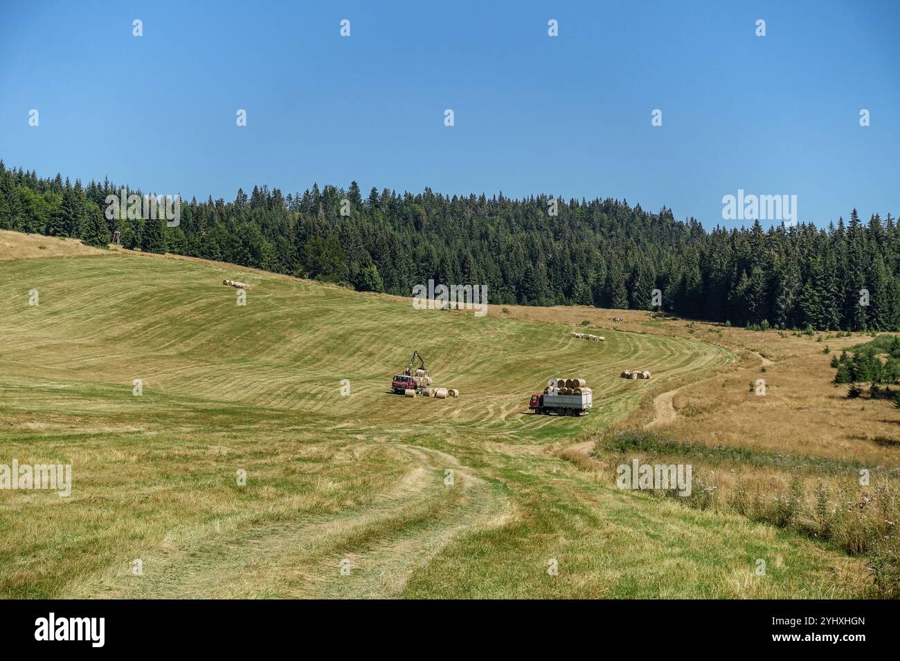 Paysage de campagne Rolling Low Tatras (Slovaquie) avec des machines de mise en balles travaillant sur un champ ensoleillé près d'une forêt dense par temps clair Banque D'Images
