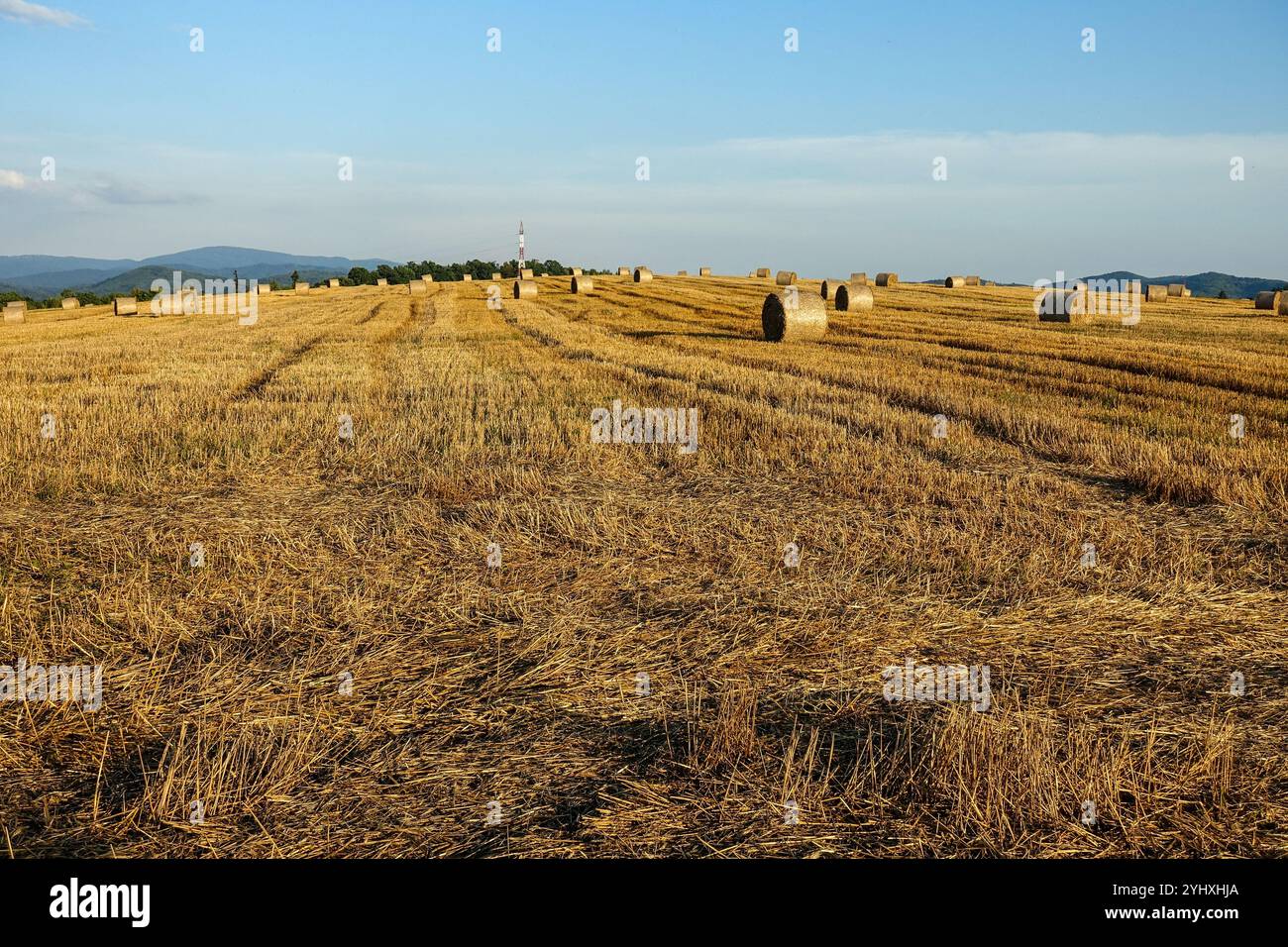 Rouleaux de foin dans de vastes champs ouverts dans les Tatras de Slovaquie Banque D'Images