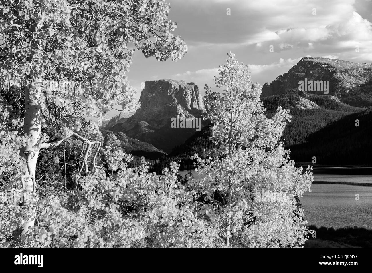 WY01801-00-BW...... WYOMING - Squaretop Mountain encadré par des arbres de tremble le long des lacs de Green River dans la nature sauvage de Bridger, forêt nationale de Bridger. Banque D'Images