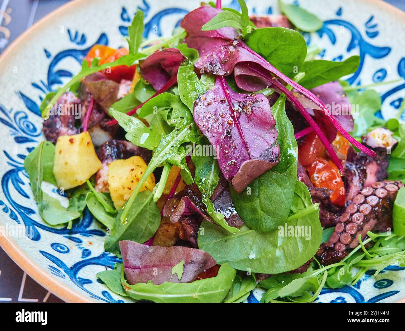 Salade avec poulpe, roquette, tomates cerises, pommes de terre et oignon rouge Banque D'Images