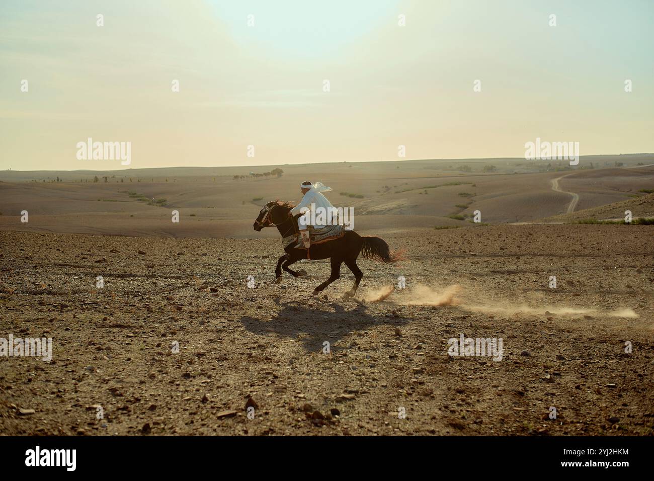 Une personne montant un cheval au galop complet à travers un vaste paysage désertique au crépuscule, Maroc Banque D'Images