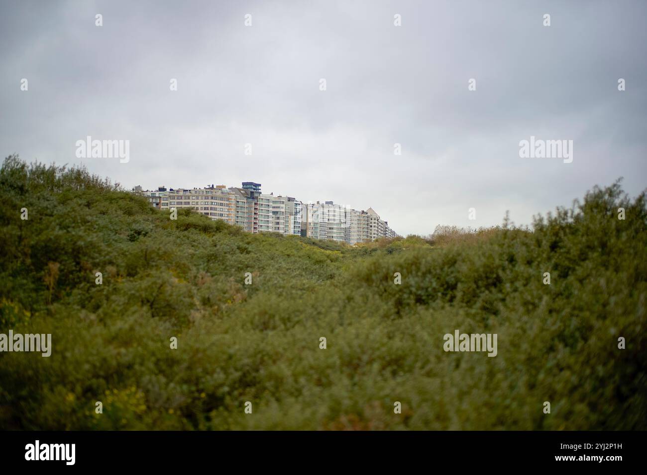 Dunes verdoyantes en face d'un immeuble d'appartements BIF neart la plage, côte belge Banque D'Images