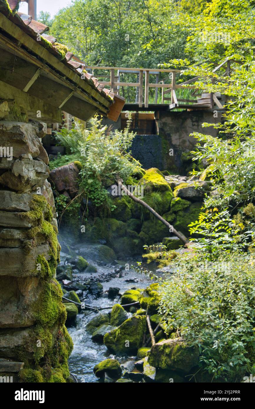 Un ruisseau idyllique avec des pierres couvertes de mousse et une végétation luxuriante. En arrière-plan se trouve un pont en bois qui complète harmonieusement la scène Banque D'Images