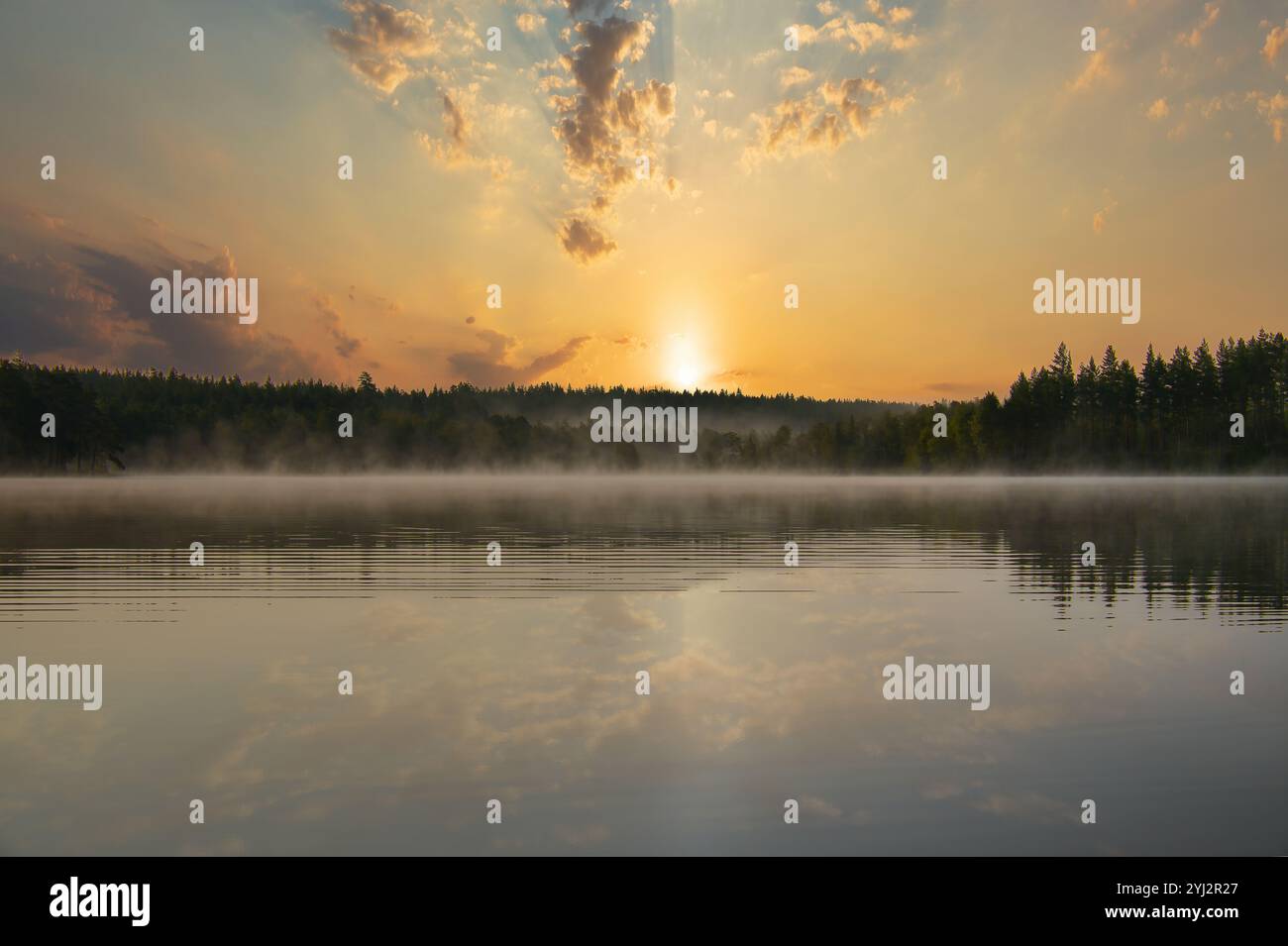 Lac en Suède, eau lisse miroir avec lumière romantique et arbres sur le rivage. Nature scandinave dans le nord Banque D'Images