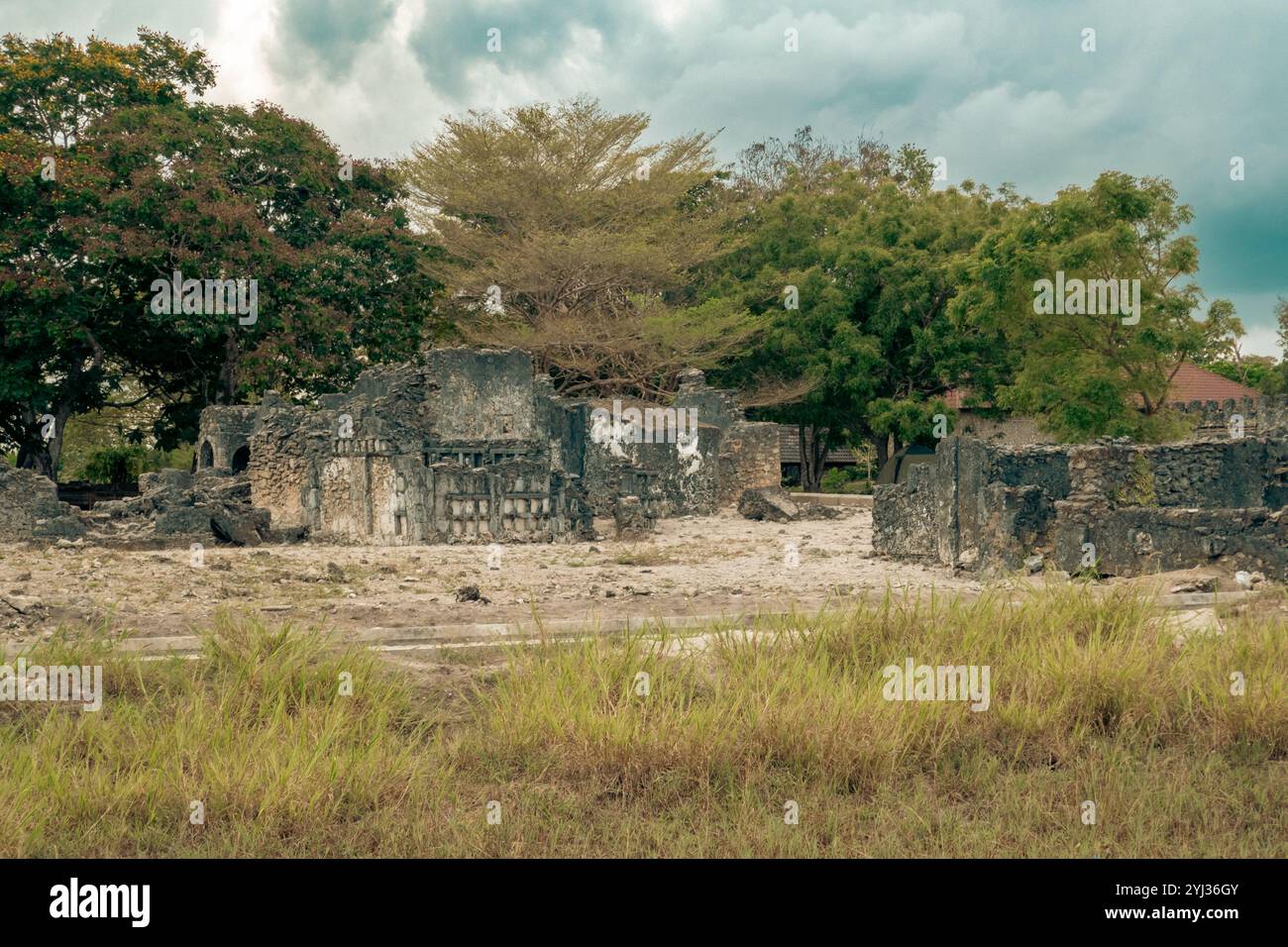 Vue des ruines faites de pierres de Corol à Kaole Ruins - un poste de traite du 13ème siècle et fort colonial allemand à Bagamoyo, Tanzanie Banque D'Images