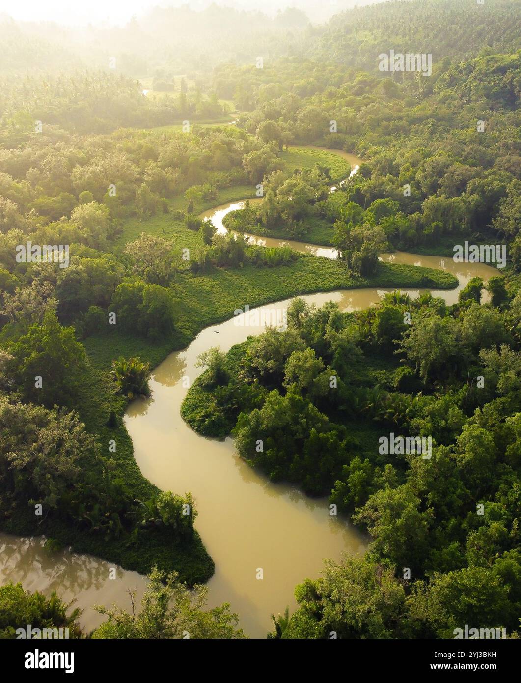 Rivière de type S, avec soleil du matin Banque D'Images