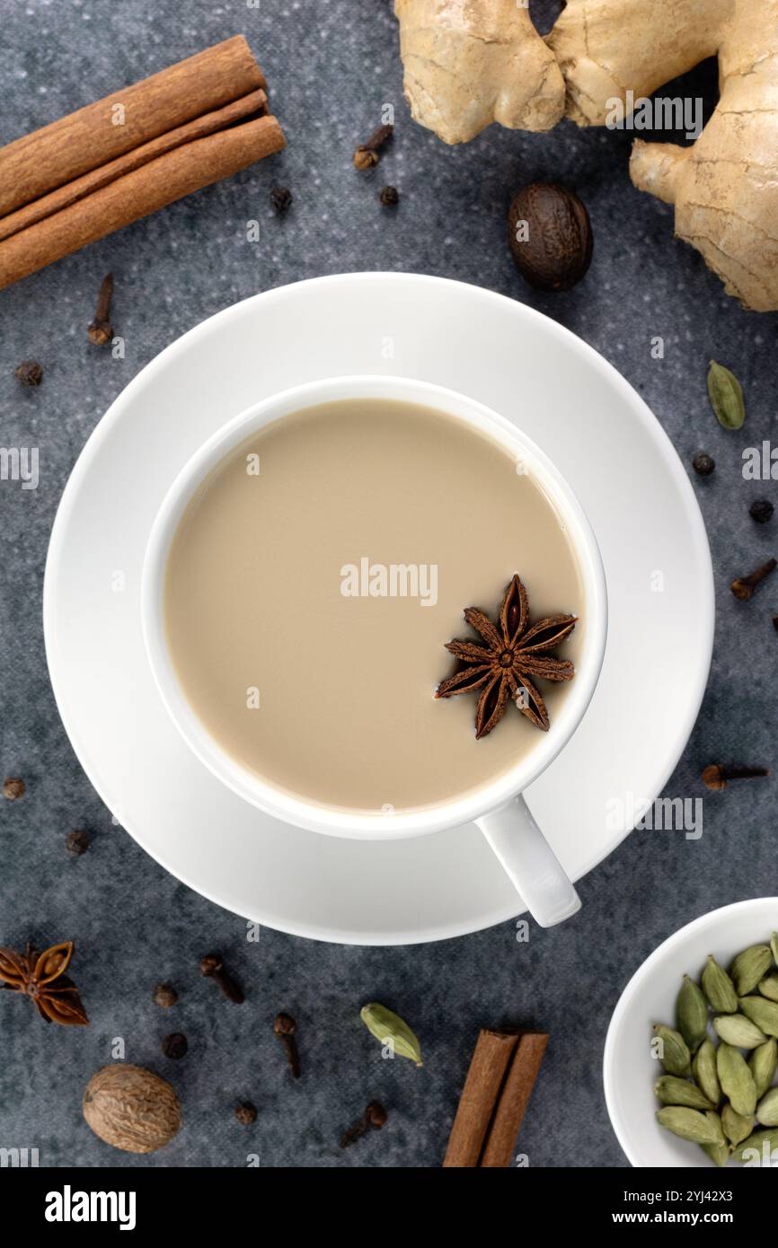 Thé indien masala dans une tasse blanche avec des épices - cannelle, anis étoilé, gingembre, clous de girofle, cardamome sur fond gris. Banque D'Images