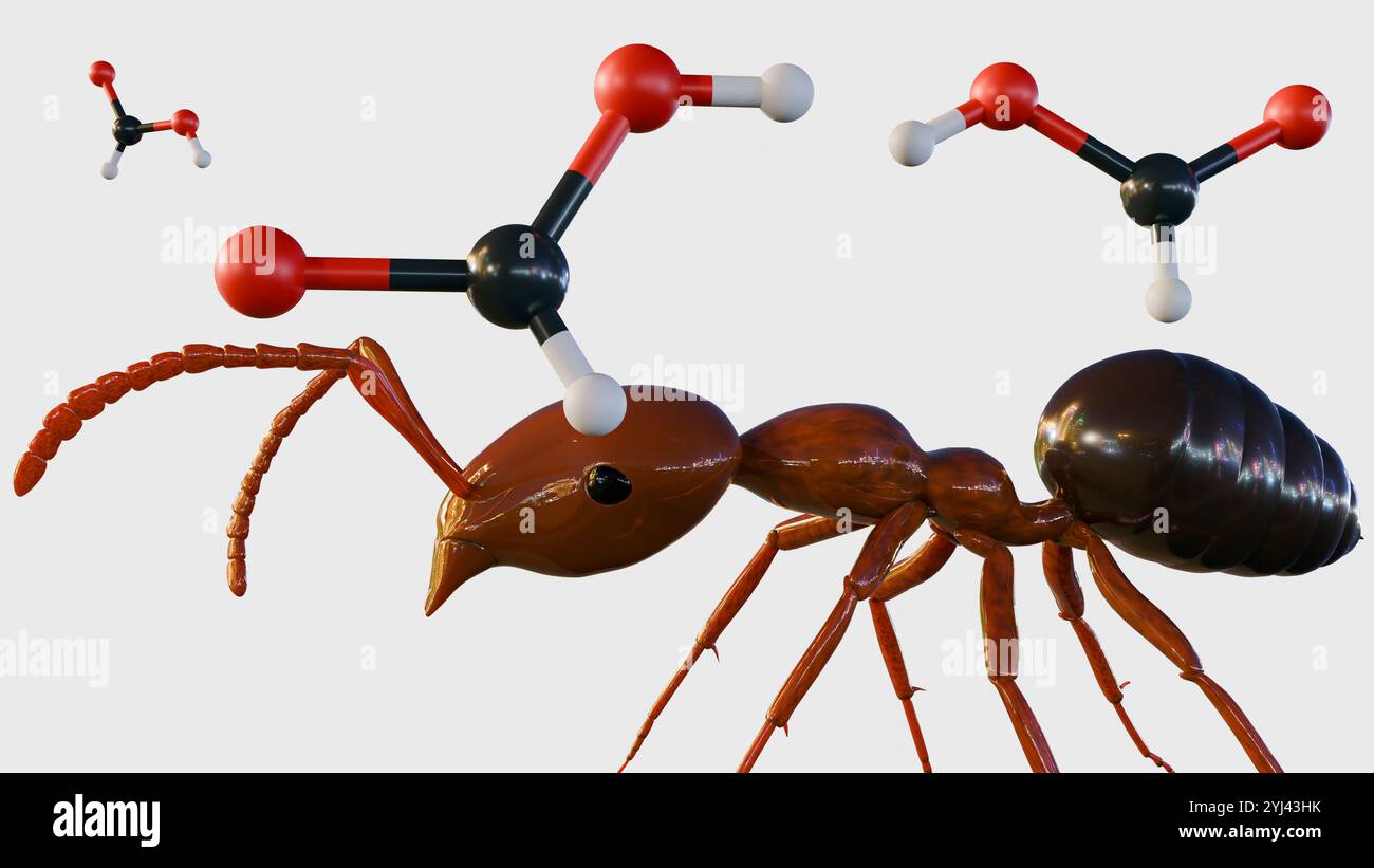 Rendu 3D de Formica rufa ou fourmi de bois rouge, il peut pulvériser un puissant jet d'acide formique, une arme chimique qui peut dissuader les prédateurs et les ennemis. Banque D'Images