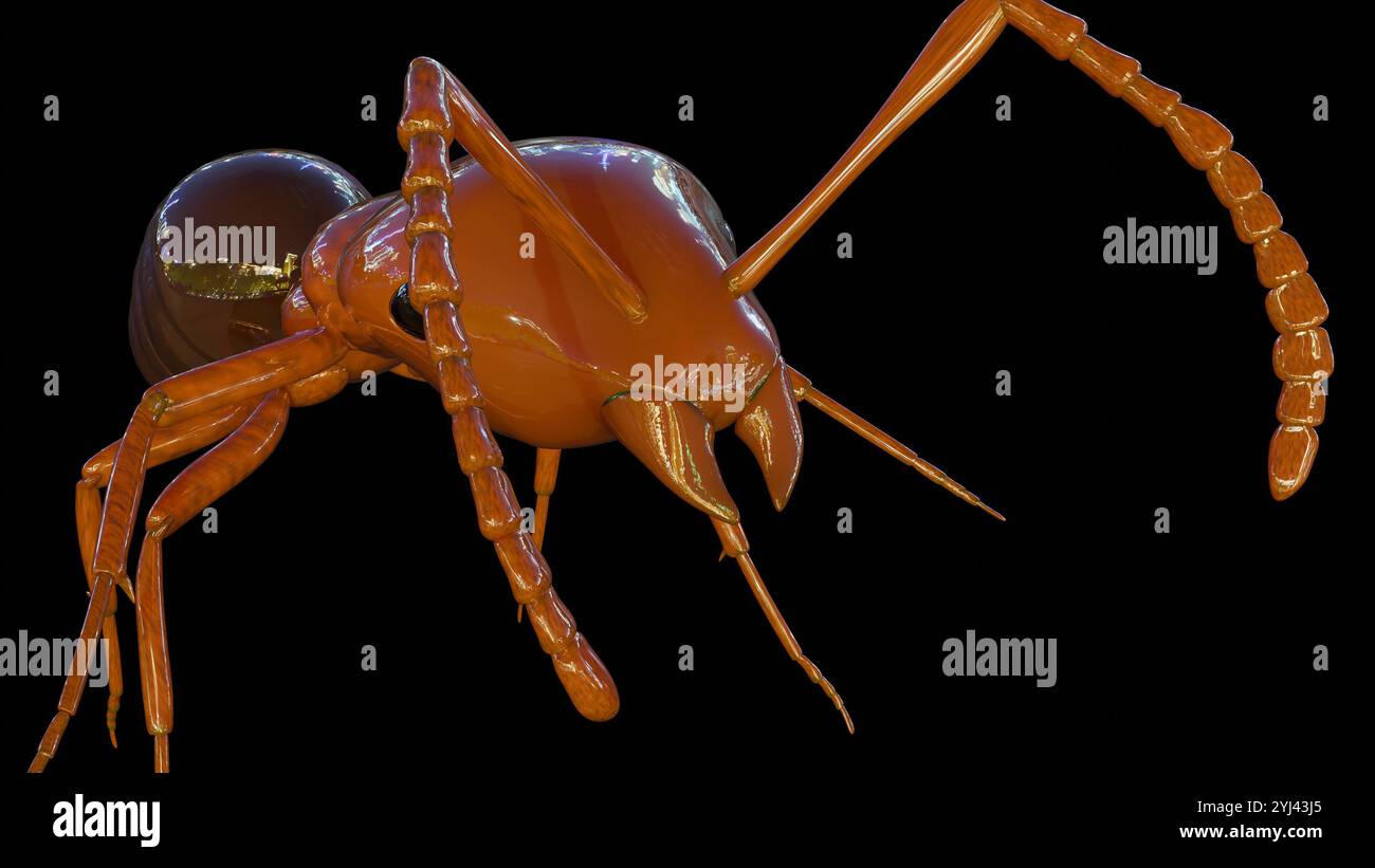 Rendu 3d de Formica rufa est une espèce de fourmi communément connue sous le nom de fourmi de bois rouge. Banque D'Images