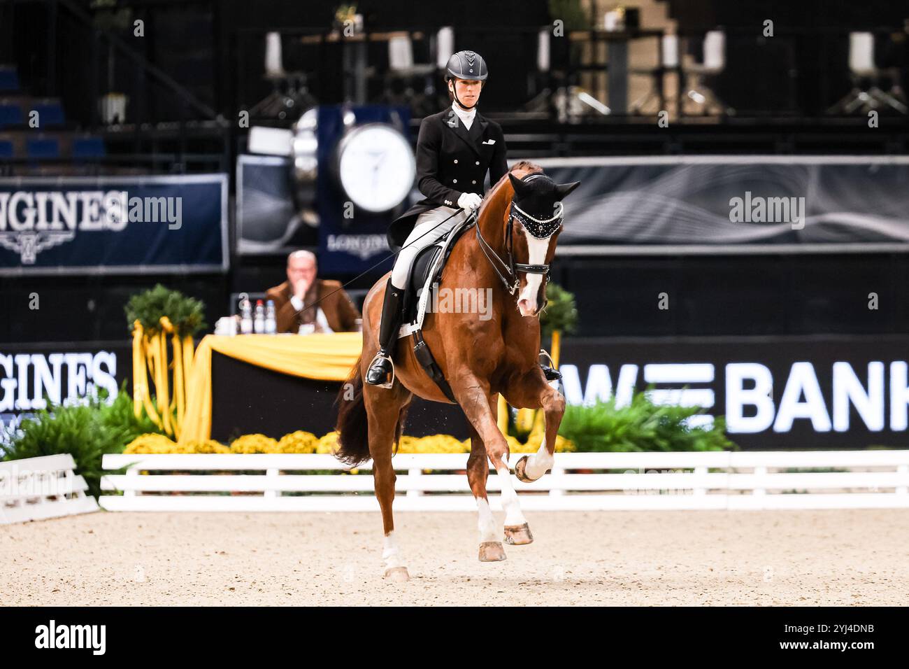 Platz Jung Linda auf qu est-ce que c est, RC Renningen Preis der Firma i West Nat. Dressurpruefung kl. S Aufgabe : intermédiaire I GER, Stuttgart German Masters 2024, 38. internationale Reitturnier, 13.11.2024 Foto : Eibner-Pressefoto/Roger Buerke Banque D'Images