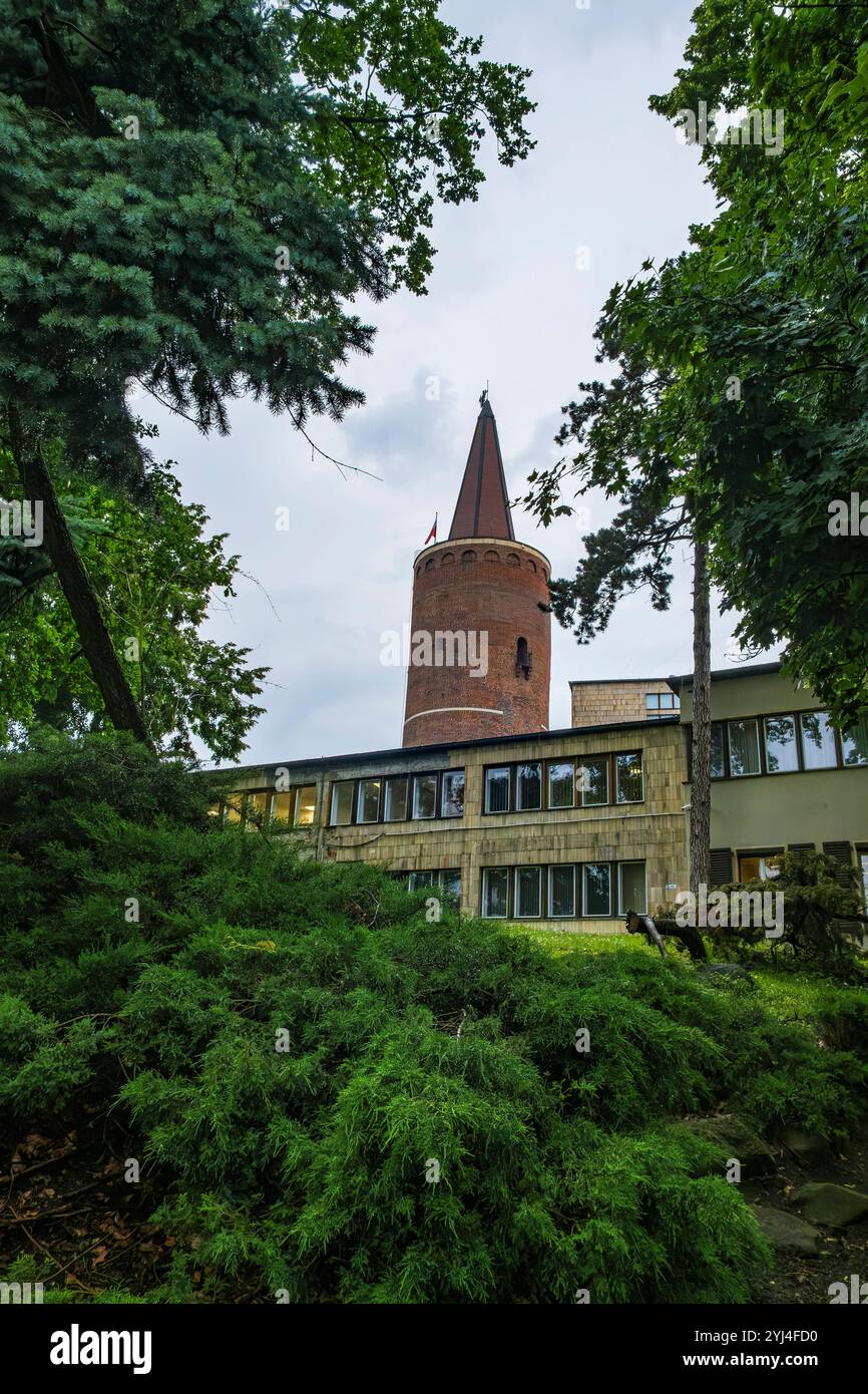 Piastenturm Opole, Woiwodschaft Opole, Polen Der Piastenturm in Oppeln Opole, Woiwodschaft Opole, Polen, ist ein aus dem 13. Jahrhundert Stammender mittelalterlicher Turm und einziges Relikt des ehemaligen Oppelner Stadtschloss. Banque D'Images